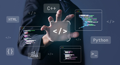 Custom Software Development